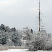 Die Fünfseenland-Updates Winter 2015