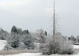 Die Fünfseenland-Updates Winter 2015